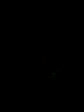 dhanshri143's cam snapshot