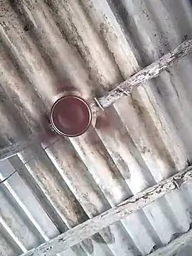 telugupilla__'s cam snapshot