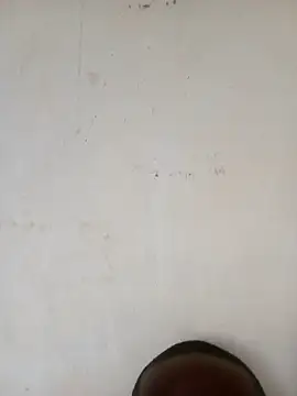 liketosex4 live sex cam