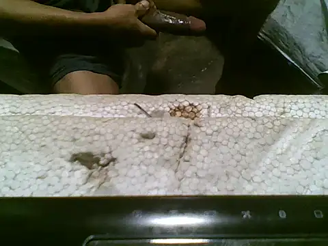 joseee004's cam snapshot