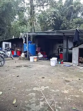 ALIENHR38's cam snapshot