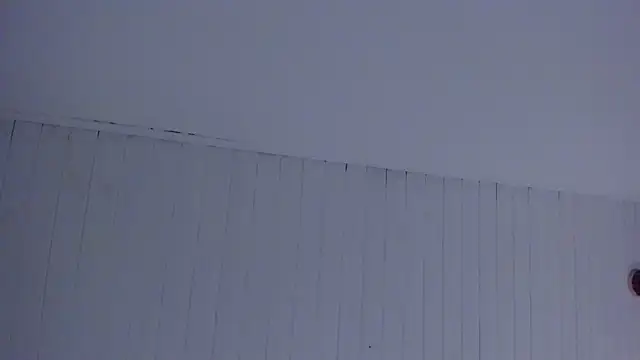 lia_quinn's cam snapshot