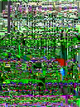 cana5522's cam snapshot