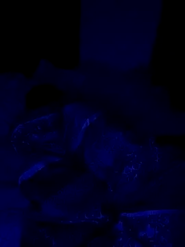 jae2cool's cam snapshot