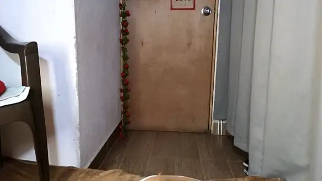 hikary_hall's cam snapshot