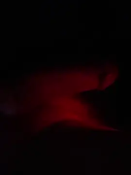 Elcho24's cam snapshot