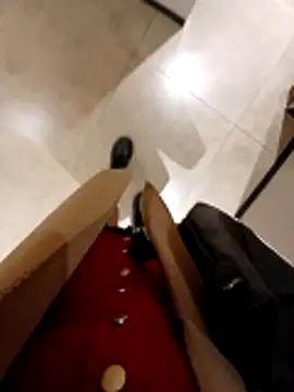 Ori-Lynk's cam snapshot