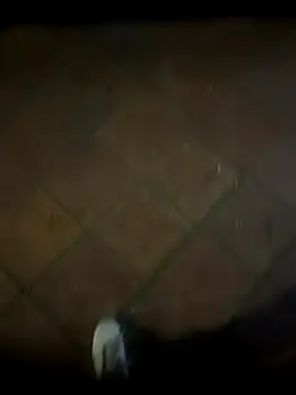 BBC-XXL's cam snapshot