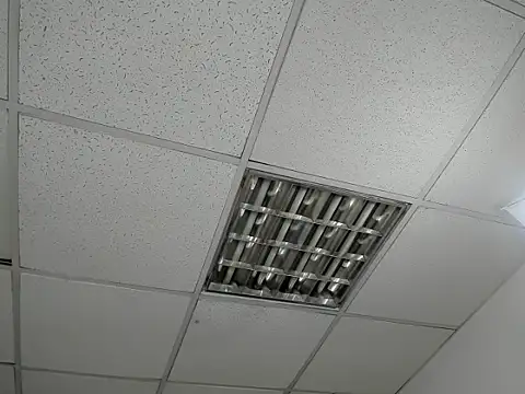 Aisha_hotts777 live sex cam