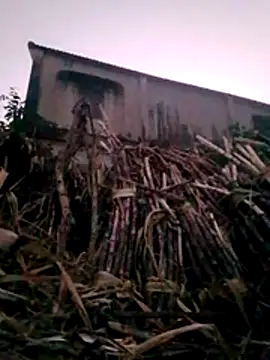 BigAssmomx's cam snapshot