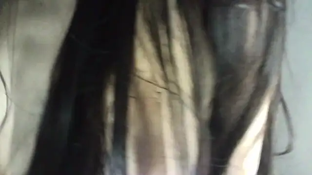 Mikha_Ela live sex cam