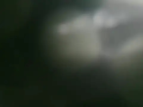 bomvemcam live sex cam