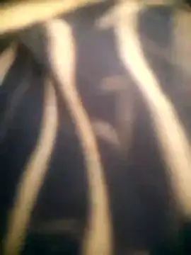 Diksha_For_You's cam snapshot