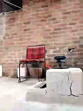 vivi_sexe's cam snapshot