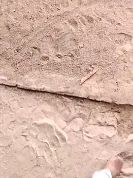 xmanrawan2's cam snapshot