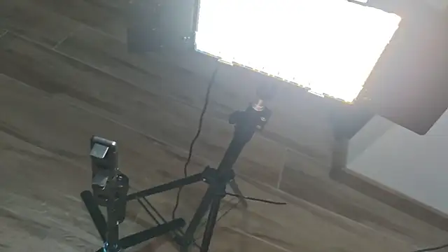 Leaders_sex live sex cam