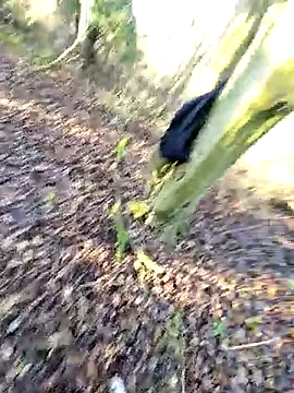 bbyxklaus live sex cam