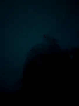 Ahlanacherae_creamz's cam snapshot