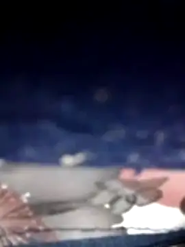 Mahi-00B's cam snapshot