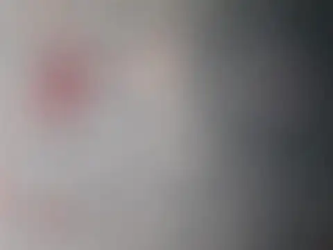 feathersify's cam snapshot