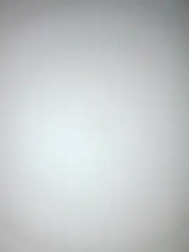 2025-DANIEL live sex cam