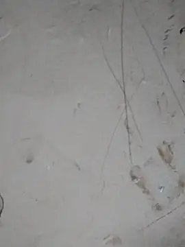 Rani_janam_'s cam snapshot