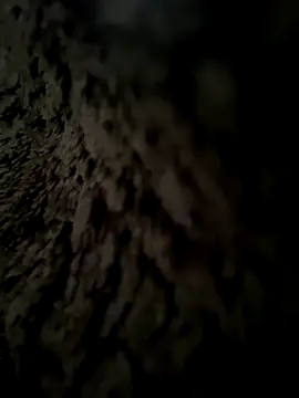 ilimiya's cam snapshot