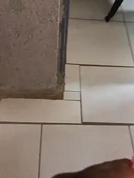 TheeRealShow live sex cam