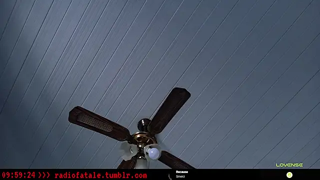 radiofatale's cam snapshot