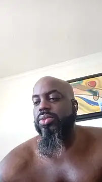 ceedevon13 live sex cam