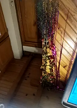 mylissandre's cam snapshot