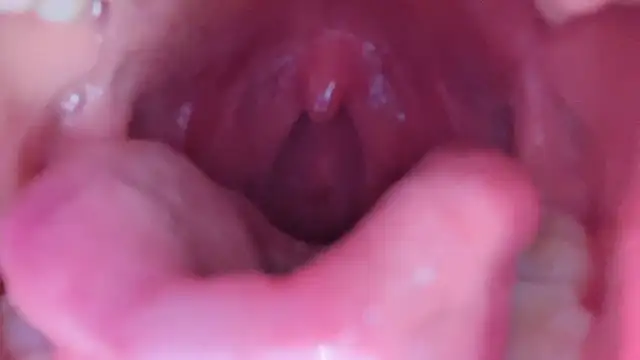 LT-333's cam snapshot