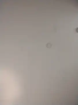 Alleinzuhause live sex cam