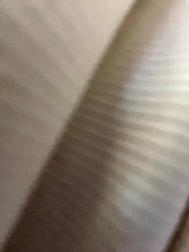 lemyny's cam snapshot