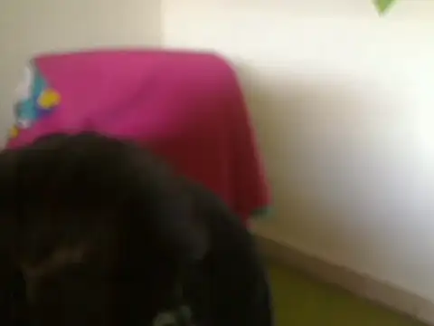 moodsailor's cam snapshot