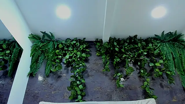 alice_greco's cam snapshot