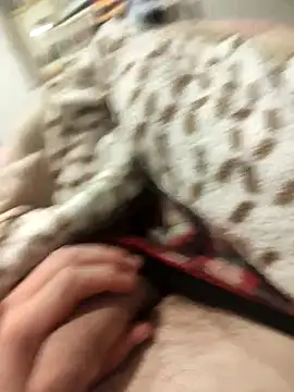 Bemgalado's cam snapshot