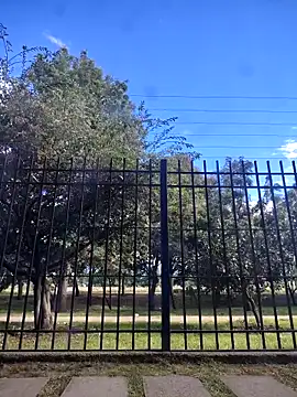 laperracobarde's cam snapshot