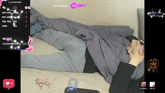 Korea-Kiss's cam snapshot