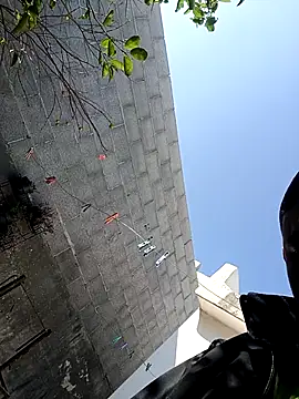 aleoconner's cam snapshot