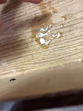 aleds17668 live sex cam