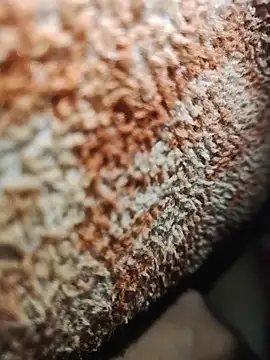 Romantic_boy00 live sex cam