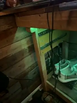 Polaroid_White live sex cam