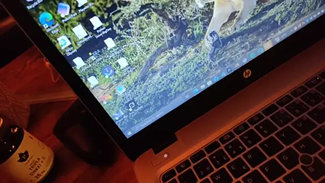 SerNicholaus's cam snapshot