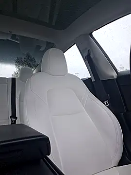 Roddog18 live sex cam