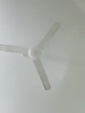 jaraislam2's cam snapshot