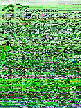 juanasnz99 live sex cam