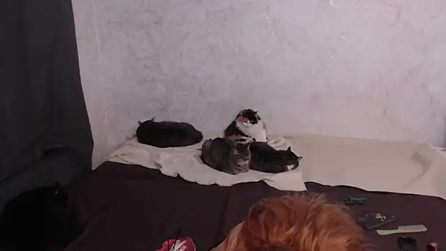 Olivia_Winston's cam snapshot