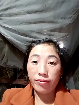 seacyre's cam snapshot