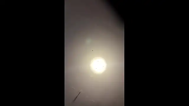 RickeyRidez's cam snapshot